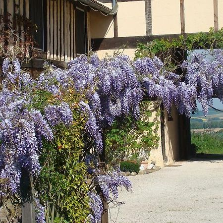 Gite du Paradis Vieuzos Bagian luar foto