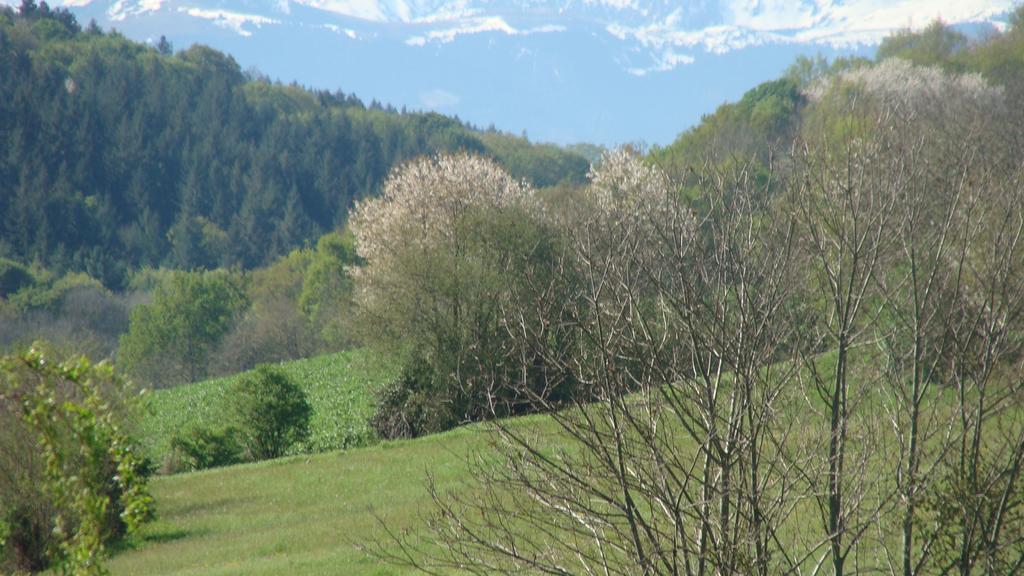 Gite du Paradis Vieuzos Bagian luar foto
